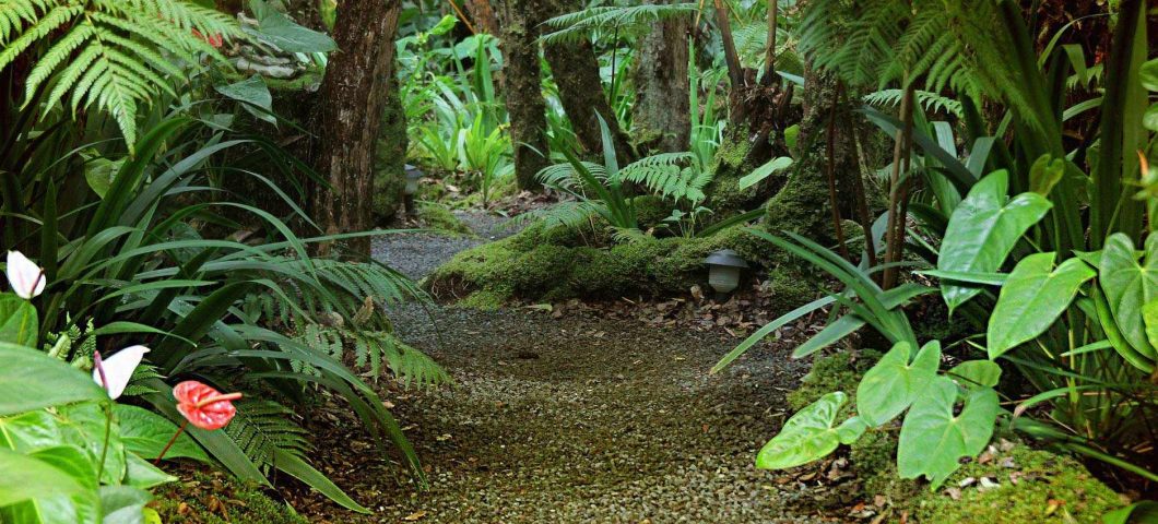 Summer Vacation in Volcano