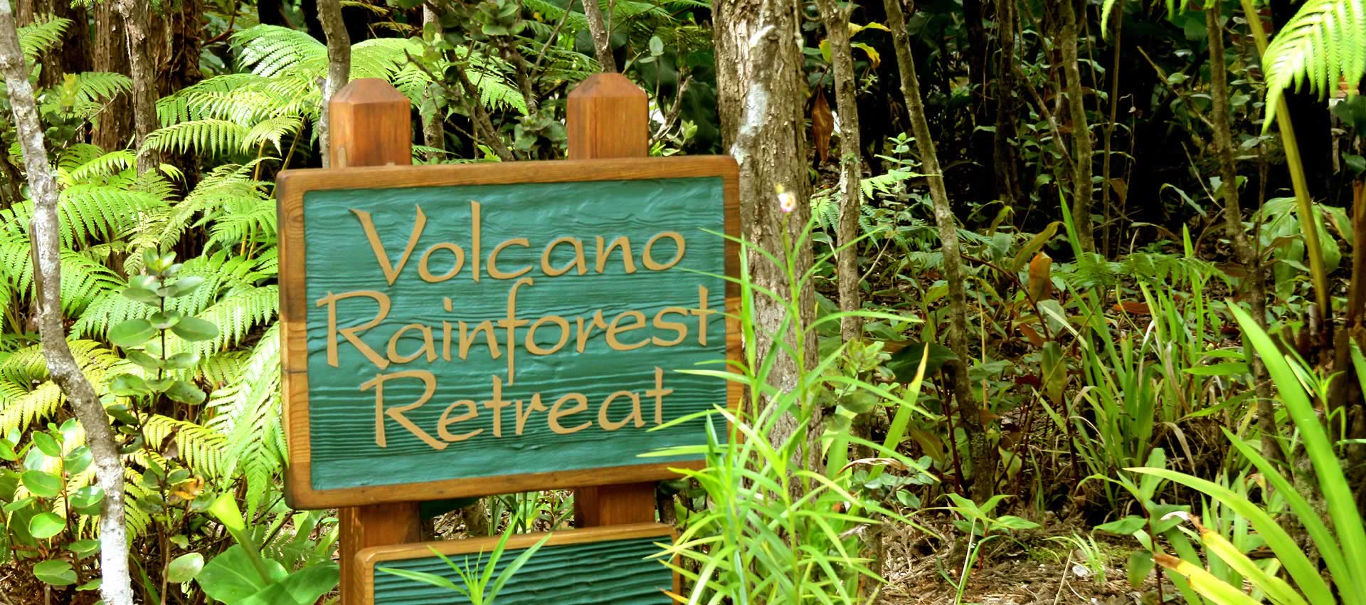 Volcano Rainforest Retreat sign surrounded by tropical ferns