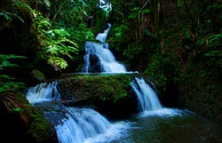 Hamakua Coast waterfalls