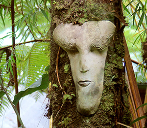Rainforest tree fern