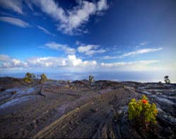 Volcanoes National Park old lava and vegetation